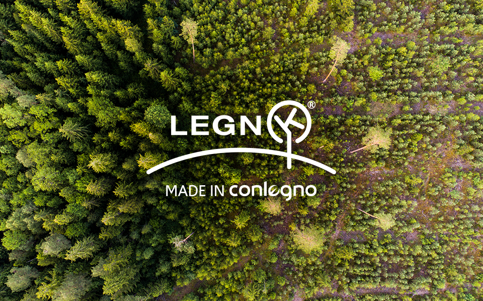 Legnok-news-960x600-deforestazione-01