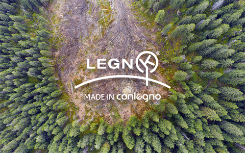 Legnok-news-960x600-deforestazione-03(0)