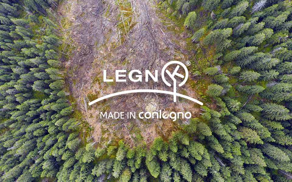 Legnok-news-960x600-deforestazione-03