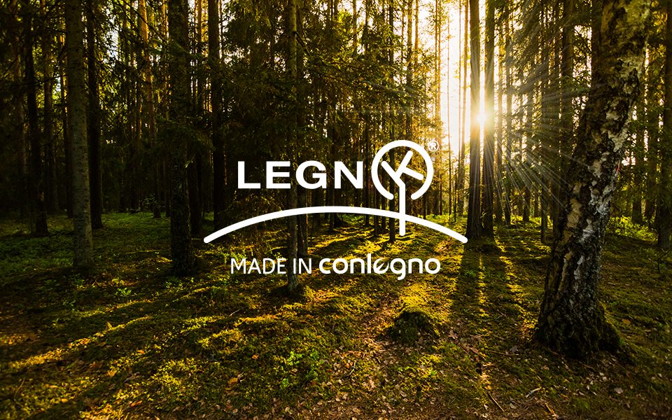 Legnok-news-960x600-foresta-01