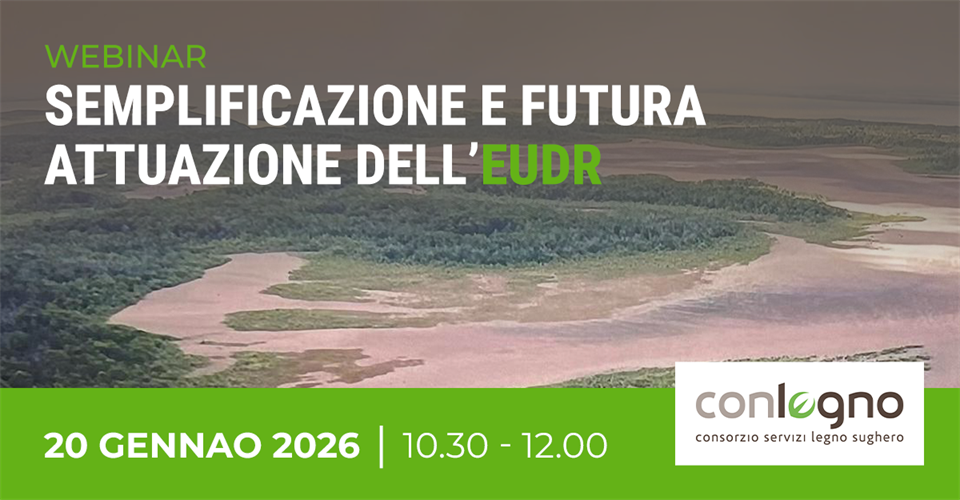 WEBINAR-LEGNOK-20GEN2026-IN(0)