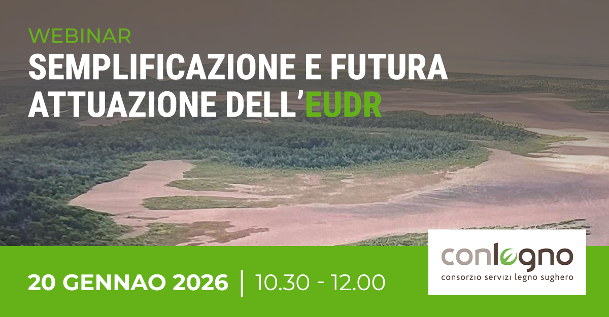 WEBINAR-LEGNOK-20GEN2026-IN