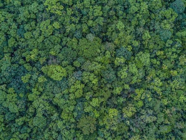 hero--highlights--imageSlider_02(0)